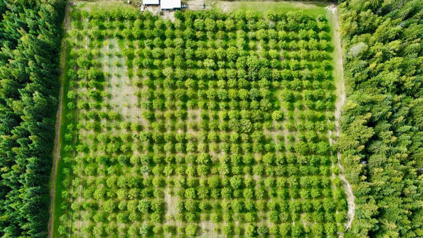 









Lots 71-72


HARRISON

Road,
Arrow Park,




BC
V0G 1R1

