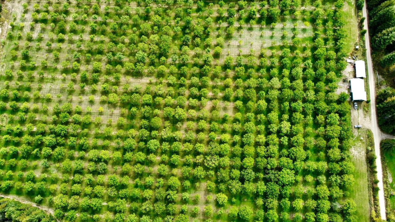 









Lots 71-72


HARRISON

Road,
Arrow Park,




BC
V0G 1R1

