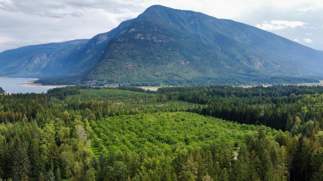 









Lots 71-72


HARRISON

Road,
Arrow Park,




BC
V0G 1R1

