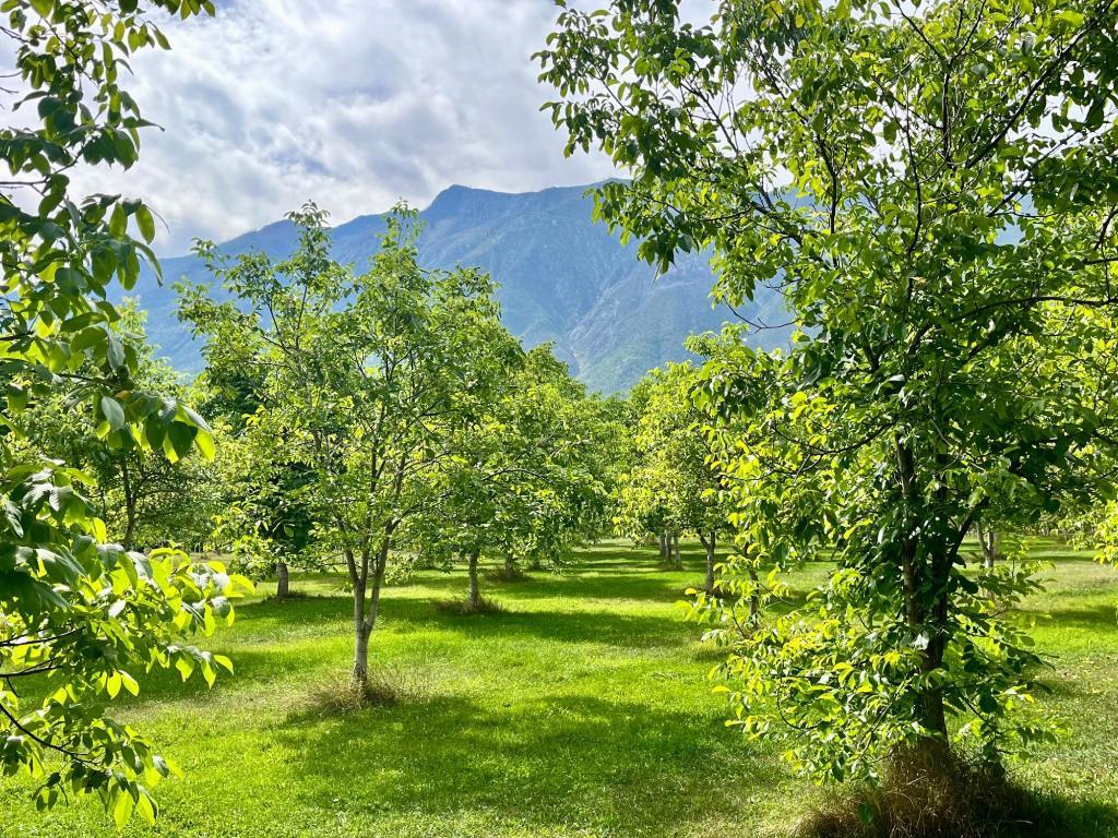 









Lots 71-72


HARRISON

Road,
Arrow Park,




BC
V0G 1R1

