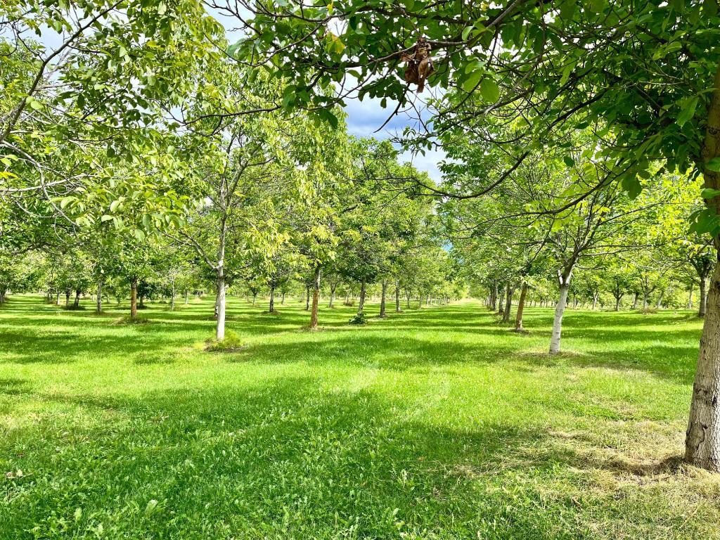 









Lots 71-72


HARRISON

Road,
Arrow Park,




BC
V0G 1R1

