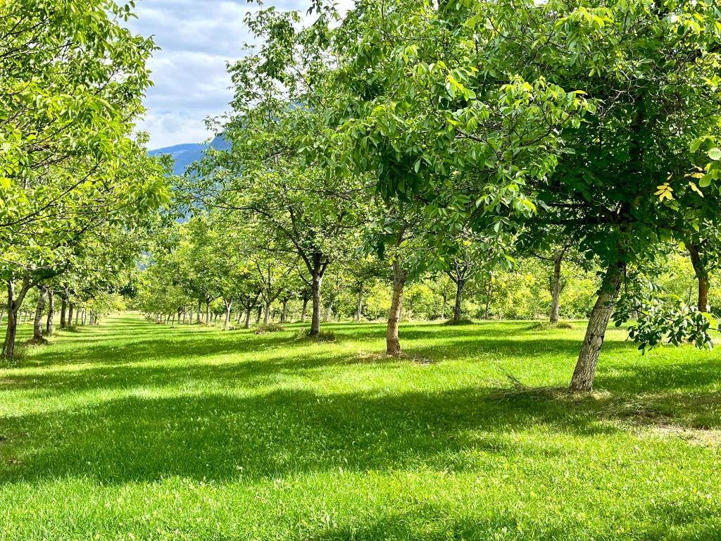 









Lots 71-72


HARRISON

Road,
Arrow Park,




BC
V0G 1R1

