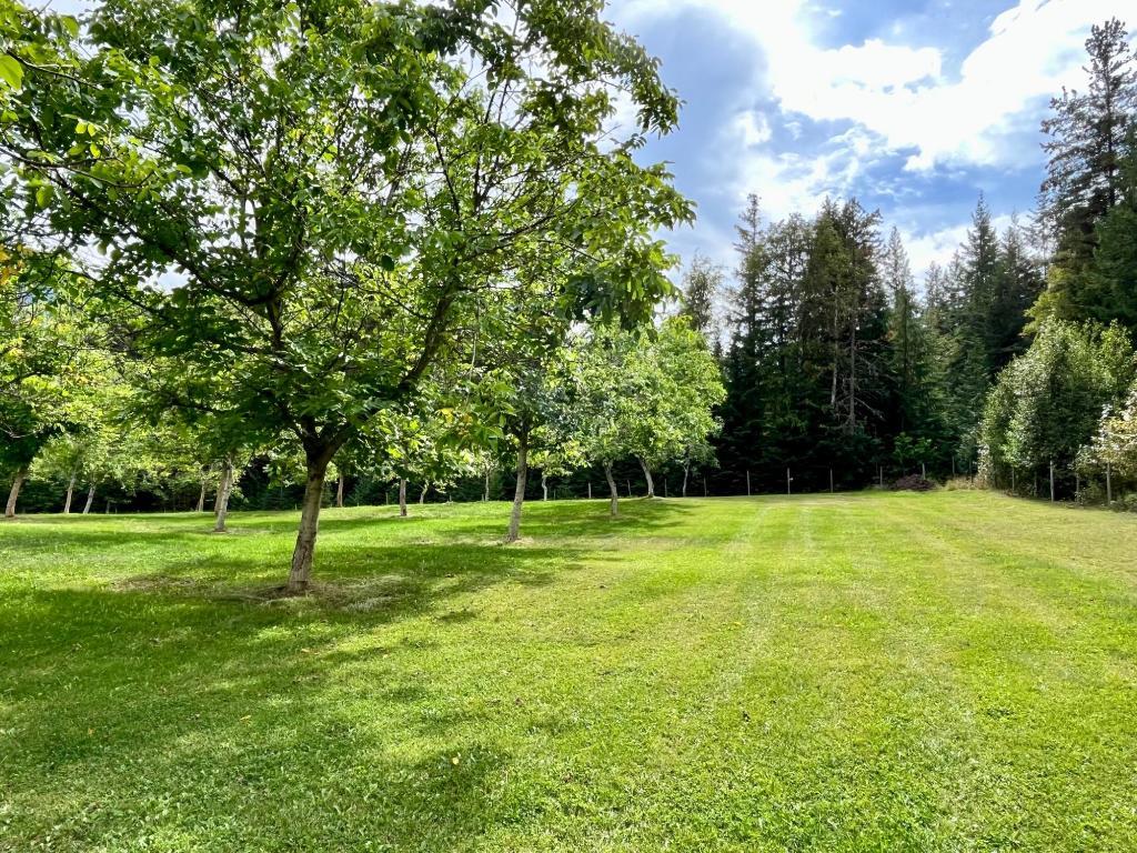 









Lots 71-72


HARRISON

Road,
Arrow Park,




BC
V0G 1R1

