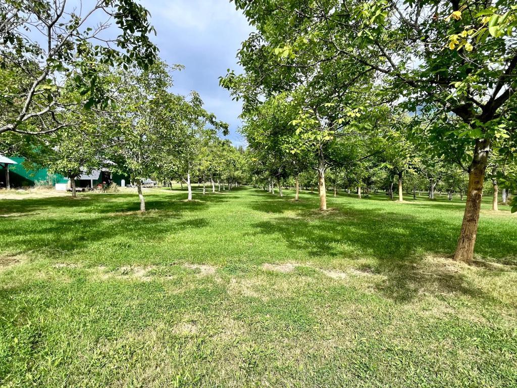 









Lots 71-72


HARRISON

Road,
Arrow Park,




BC
V0G 1R1

