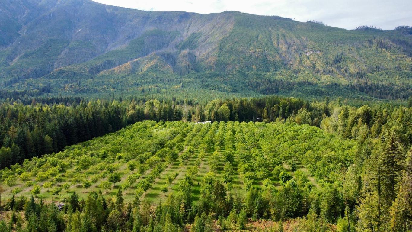 









Lots 71-72


HARRISON

Road,
Arrow Park,




BC
V0G 1R1

