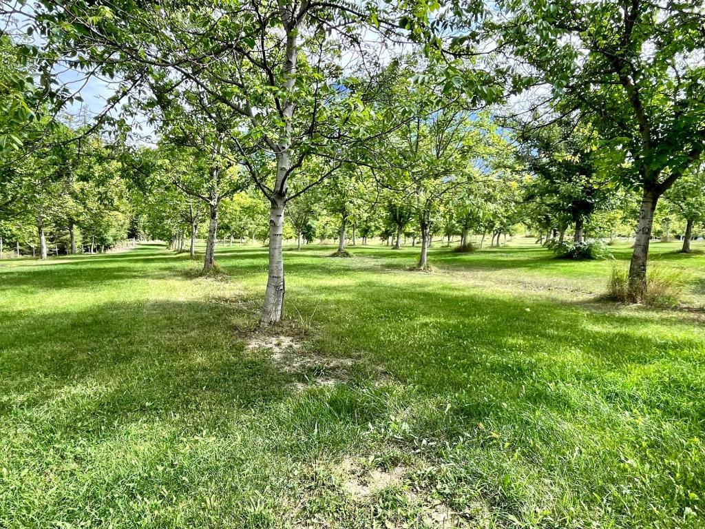 









Lots 71-72


HARRISON

Road,
Arrow Park,




BC
V0G 1R1

