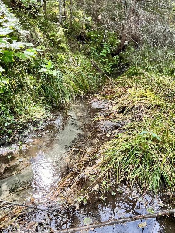 









Lots 71-72


HARRISON

Road,
Arrow Park,




BC
V0G 1R1

