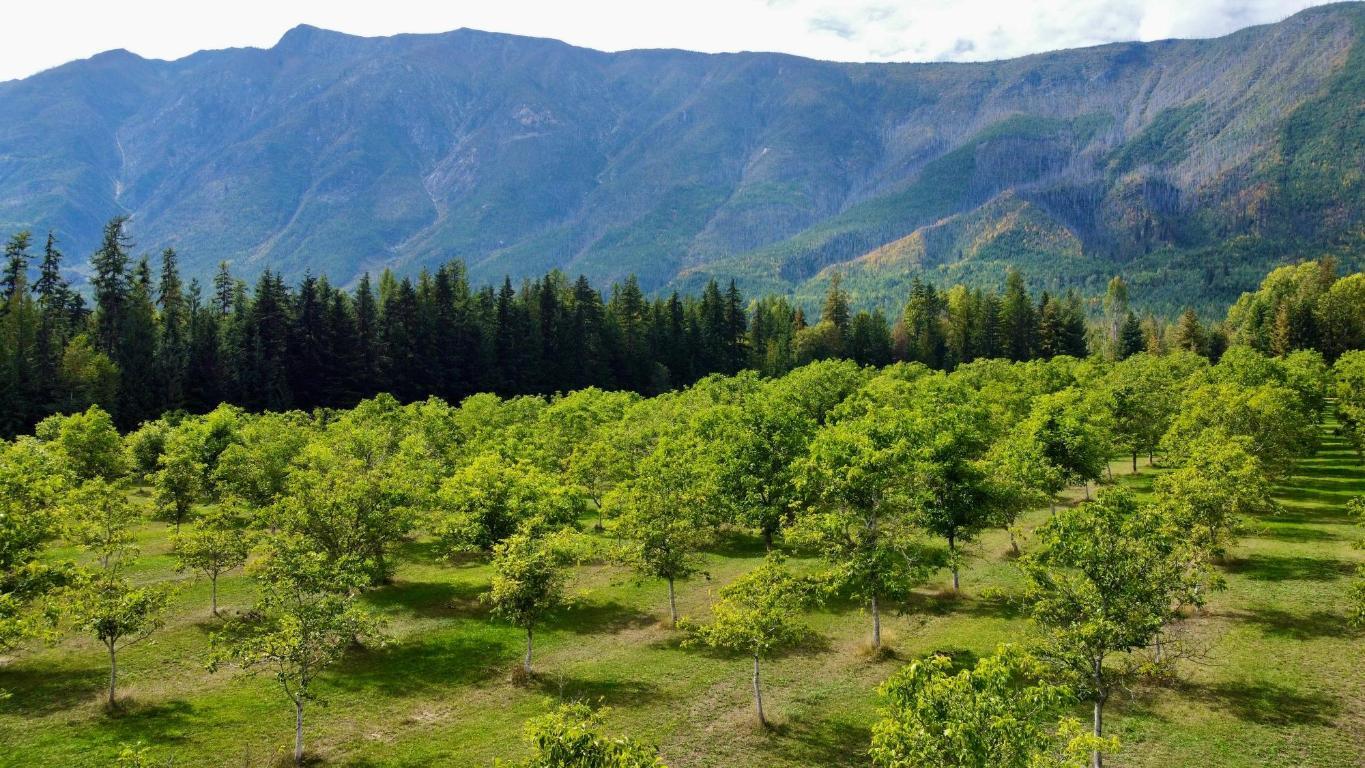 









Lots 71-72


HARRISON

Road,
Arrow Park,




BC
V0G 1R1

