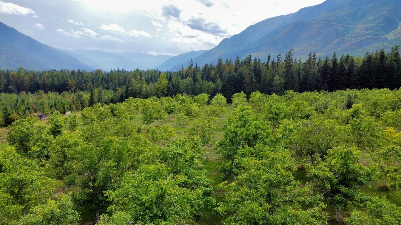 









Lots 71-72


HARRISON

Road,
Arrow Park,




BC
V0G 1R1

