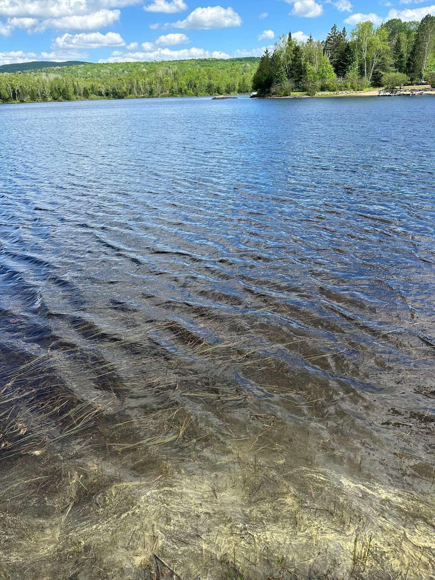 









176


Ch. de la Baie-Claire

,
La Macaza,







QC
J0T1R0

