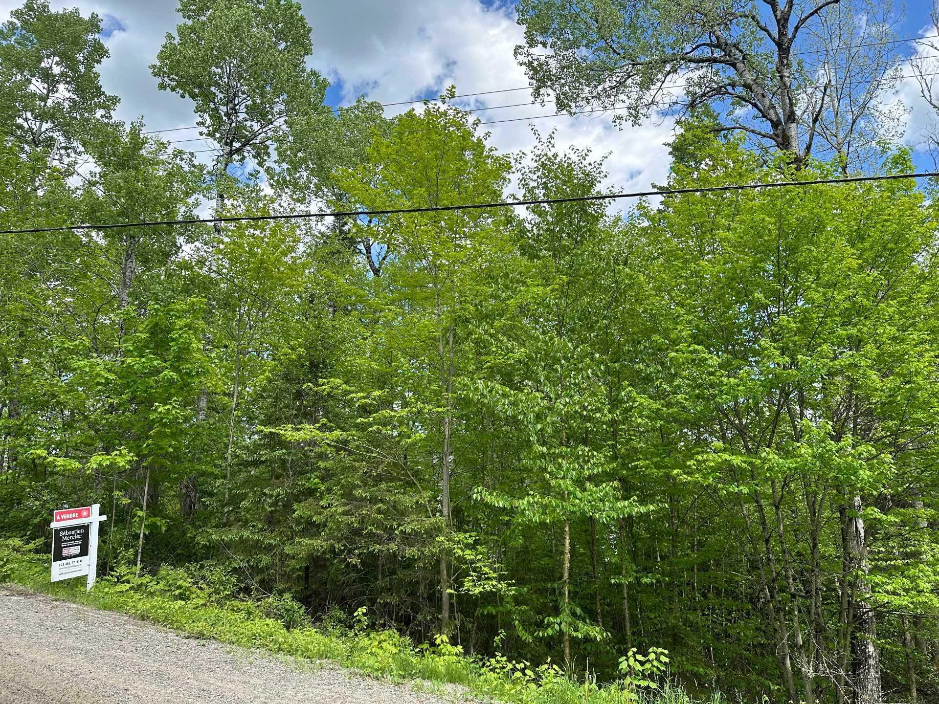 









176


Ch. de la Baie-Claire

,
La Macaza,







QC
J0T1R0

