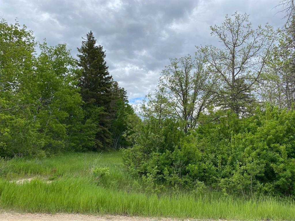 












0 David Street

,
Bifrost Rm,







Manitoba
R0C0A0

