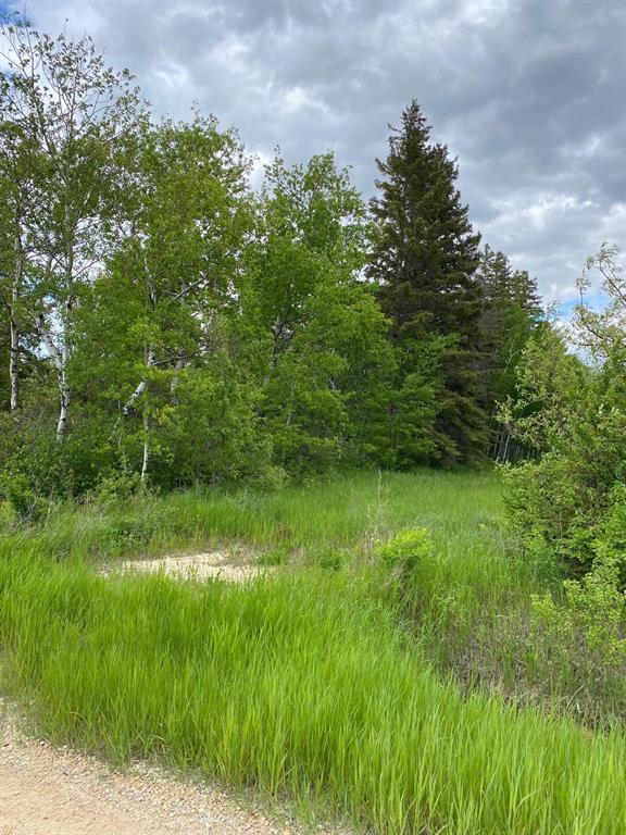 












0 David Street

,
Bifrost Rm,







Manitoba
R0C0A0

