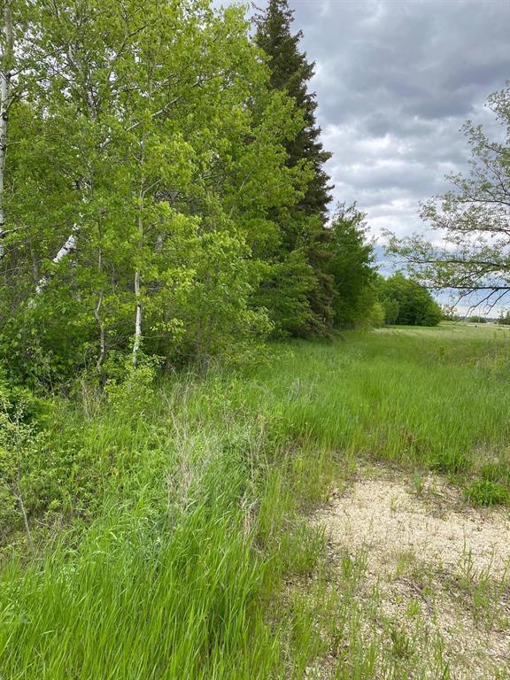 












0 David Street

,
Bifrost Rm,







Manitoba
R0C0A0

