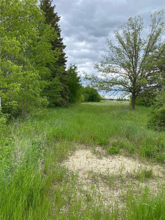 












0 David Street

,
Bifrost Rm,







Manitoba
R0C0A0

