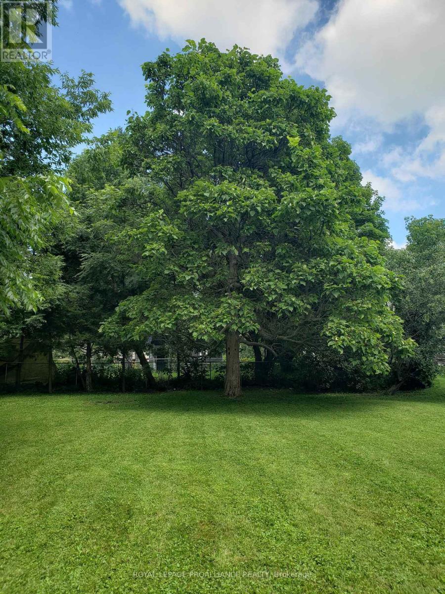 












20 GRAND TRUNK AVENUE

,
Lansdowne Village,







Ontario
K0E1L0


