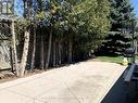 Backyard - Common Area