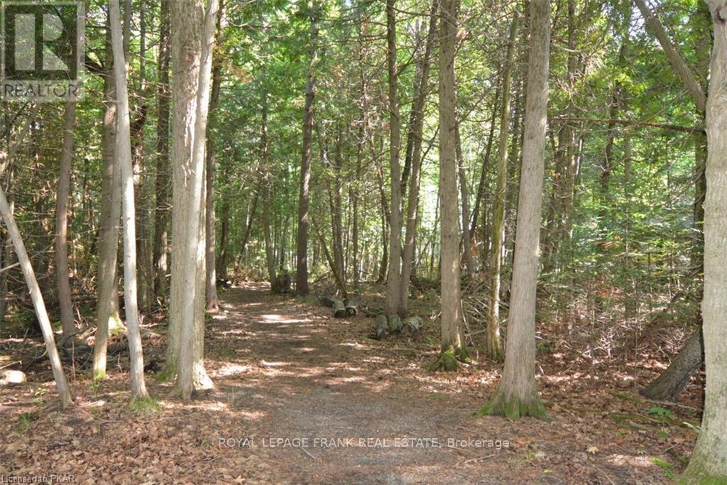 












0 HALL DRIVE

,
Trent Lakes,







Ontario
K0L1J0

