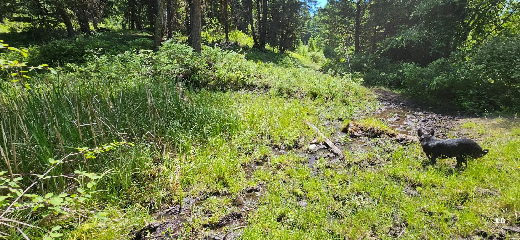 









1111


East Ingram FSR

Road,
Midway,







BC
V0H 1M0

