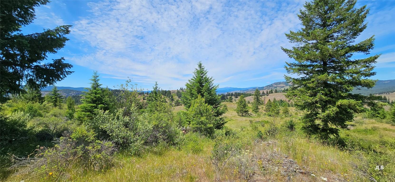 









1111


East Ingram FSR

Road,
Midway,







BC
V0H 1M0

