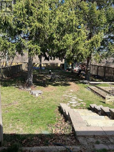 Fenced Backyard