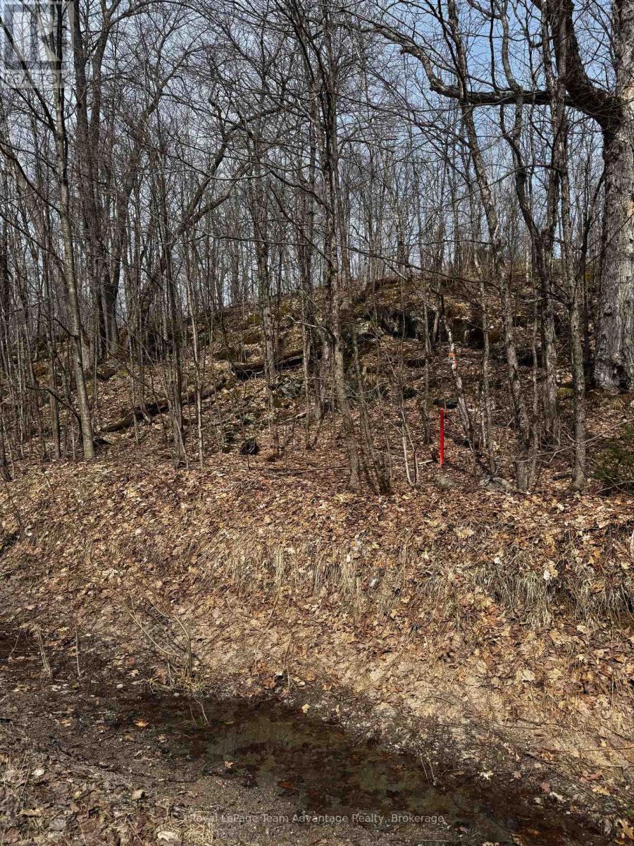 












LOT 2 LORIMER LAKE ROAD

,
Whitestone (Hagerman),







Ontario
P0A1G0

