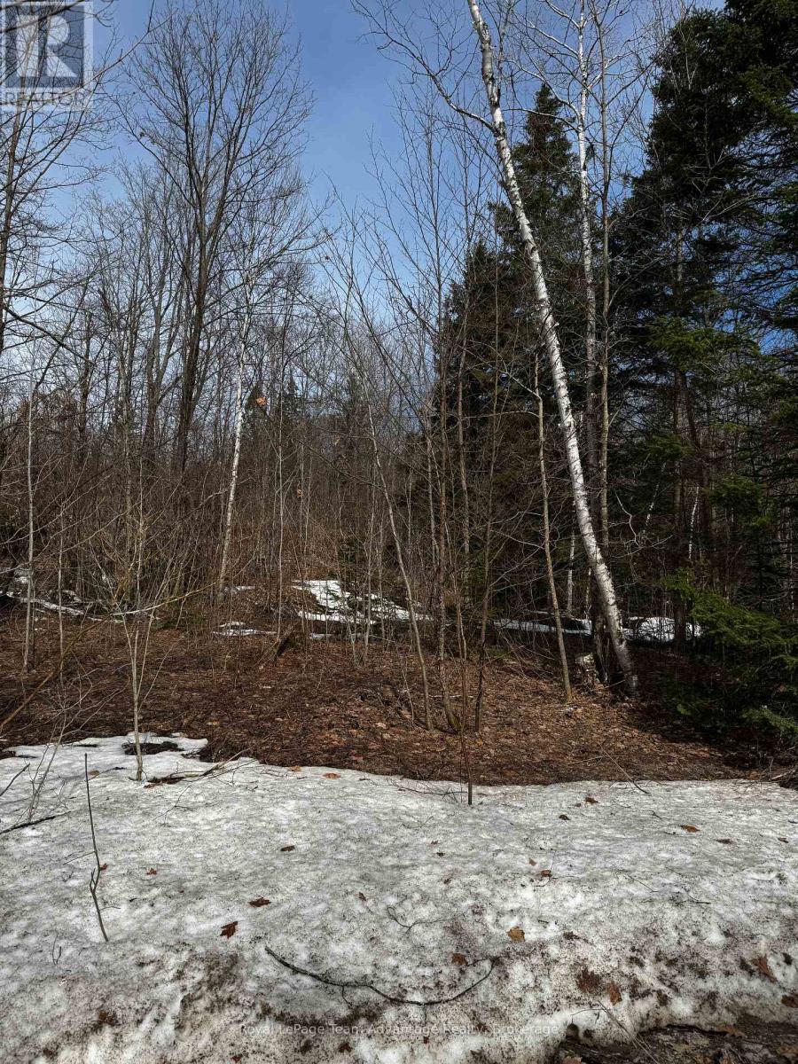 












LOT 2 LORIMER LAKE ROAD

,
Whitestone (Hagerman),







Ontario
P0A1G0

