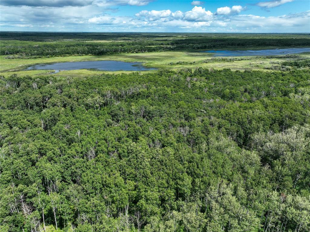 












0 Moggey's Road

,
Eriksdale,







Manitoba
R0C2G0

