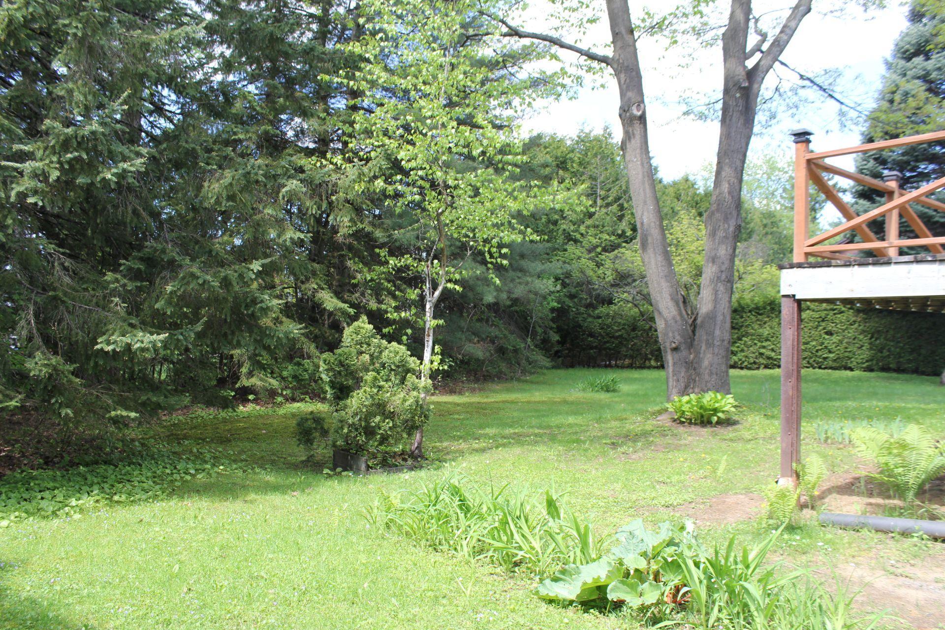 









111


Av. St-Denis

,
Saint-Sauveur,




QC
J0R1R3


