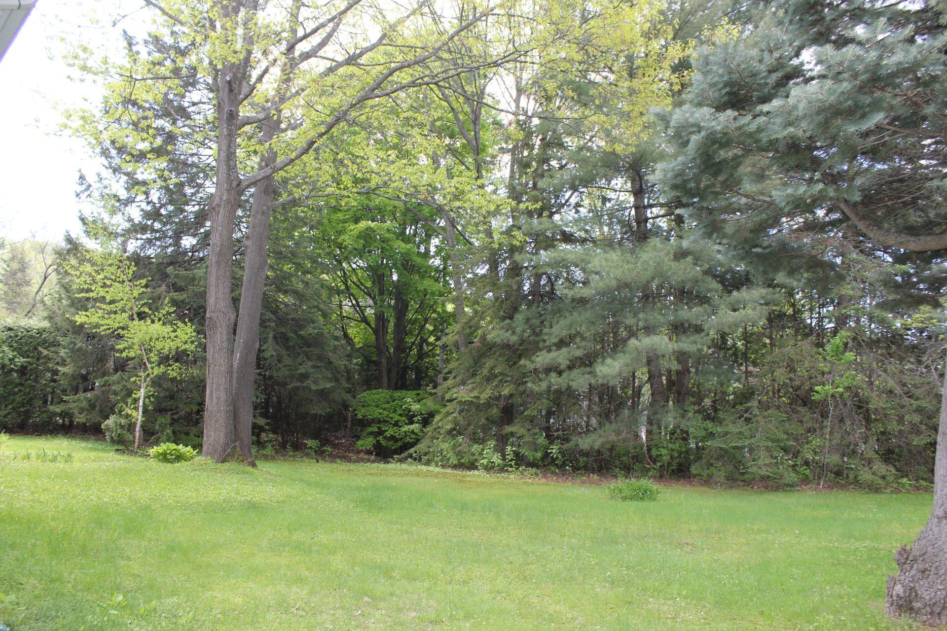 









111


Av. St-Denis

,
Saint-Sauveur,




QC
J0R1R3

