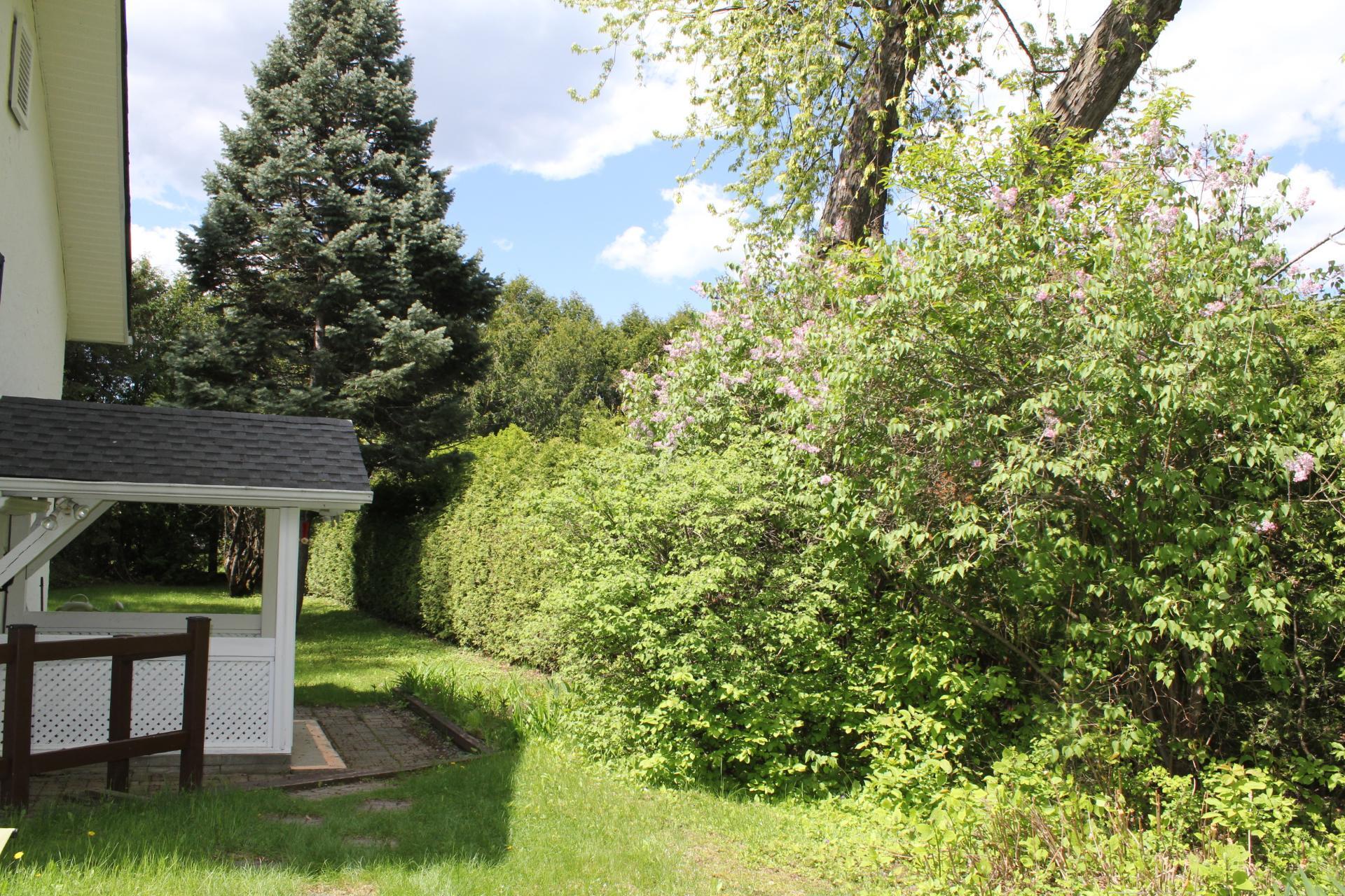 









111


Av. St-Denis

,
Saint-Sauveur,




QC
J0R1R3

