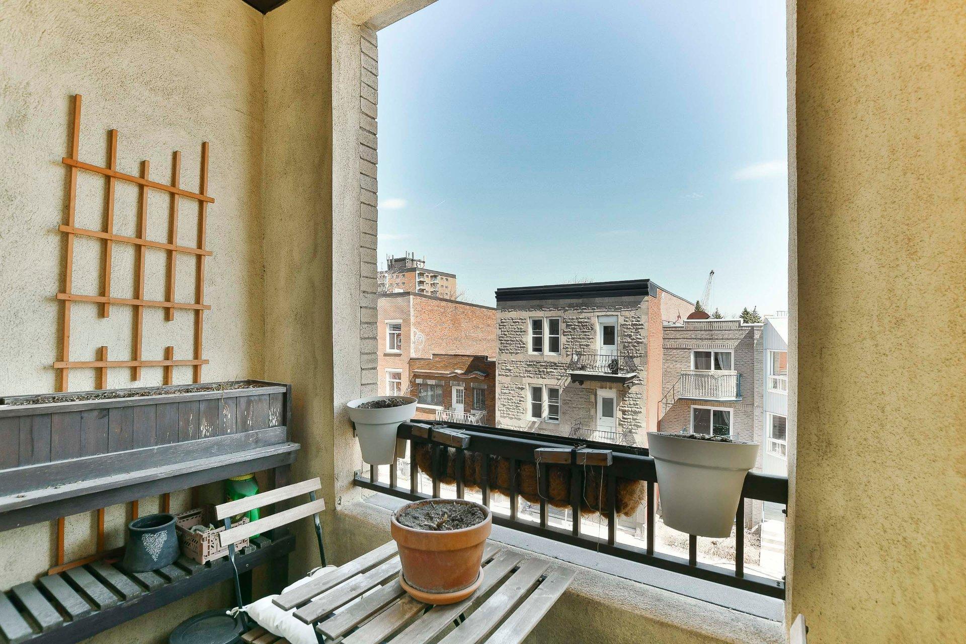 









3533


Rue Ste-Catherine E.

, A,
Montréal (Mercier/Hochelaga-Maisonneuve),




QC
H1W2E4

