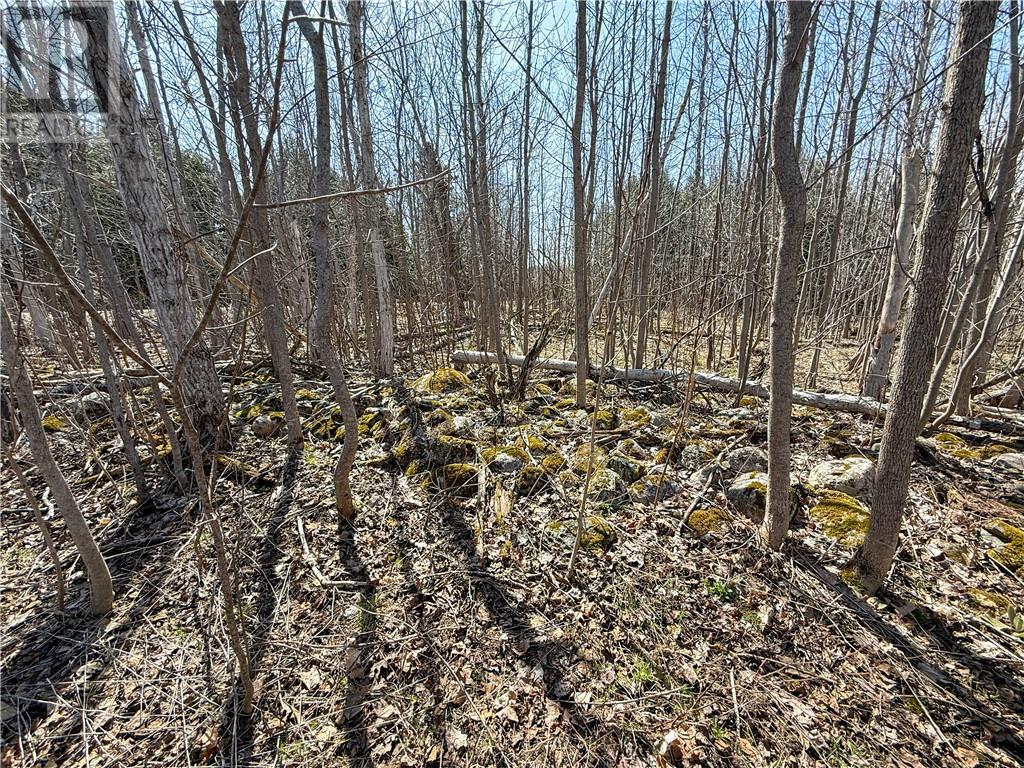 












N/A Ice Lake Drive

,
Gore Bay, Manitoulin Island,







Ontario
P0P1H0

