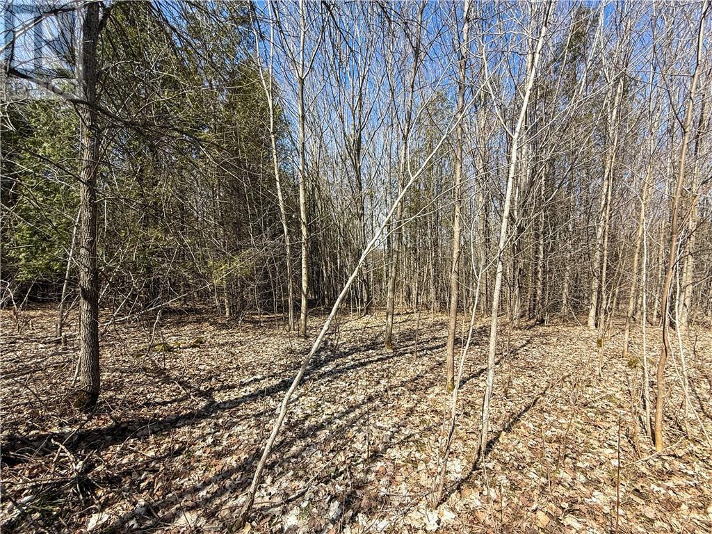 












N/A Ice Lake Drive

,
Gore Bay, Manitoulin Island,







Ontario
P0P1H0

