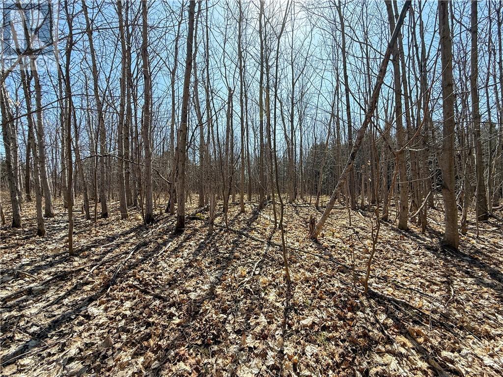 












N/A Ice Lake Drive

,
Gore Bay, Manitoulin Island,







Ontario
P0P1H0

