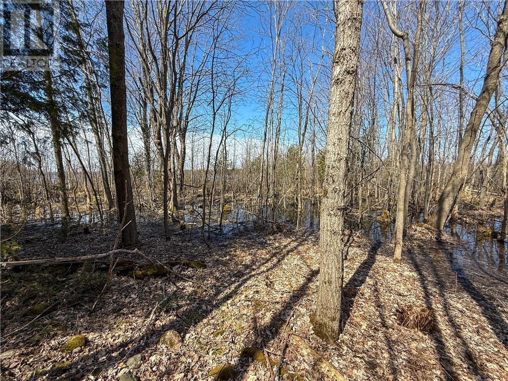 












N/A Ice Lake Drive

,
Gore Bay, Manitoulin Island,







Ontario
P0P1H0

