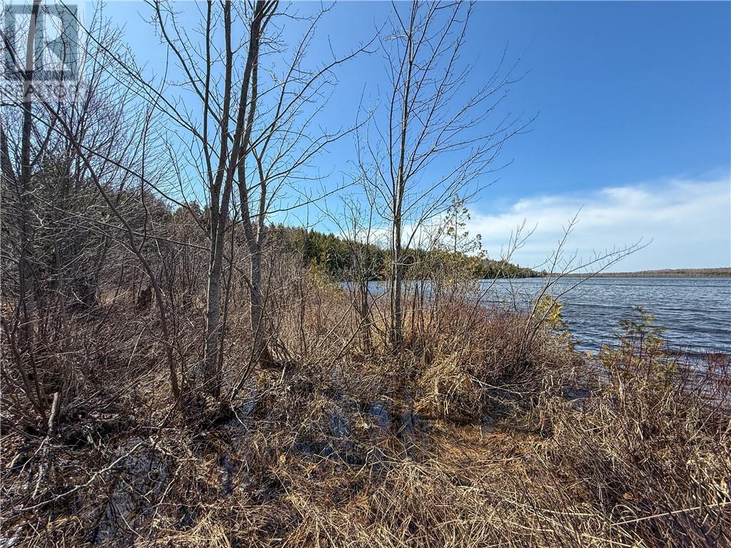 












N/A Ice Lake Drive

,
Gore Bay, Manitoulin Island,







Ontario
P0P1H0

