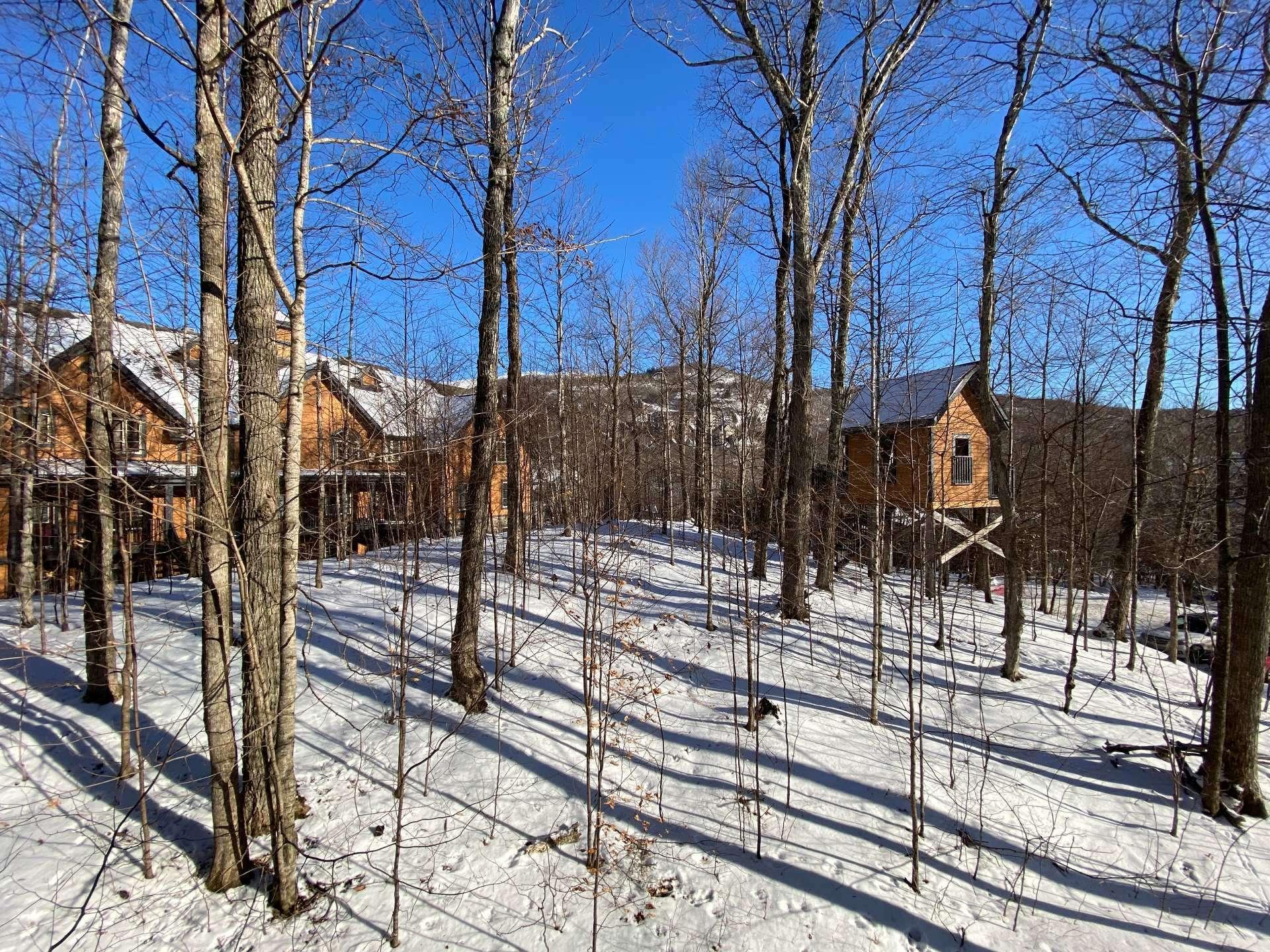 









102


Ch. des Quatre-Sommets

, 10,
Mont-Tremblant,




QC
J8E1C6

