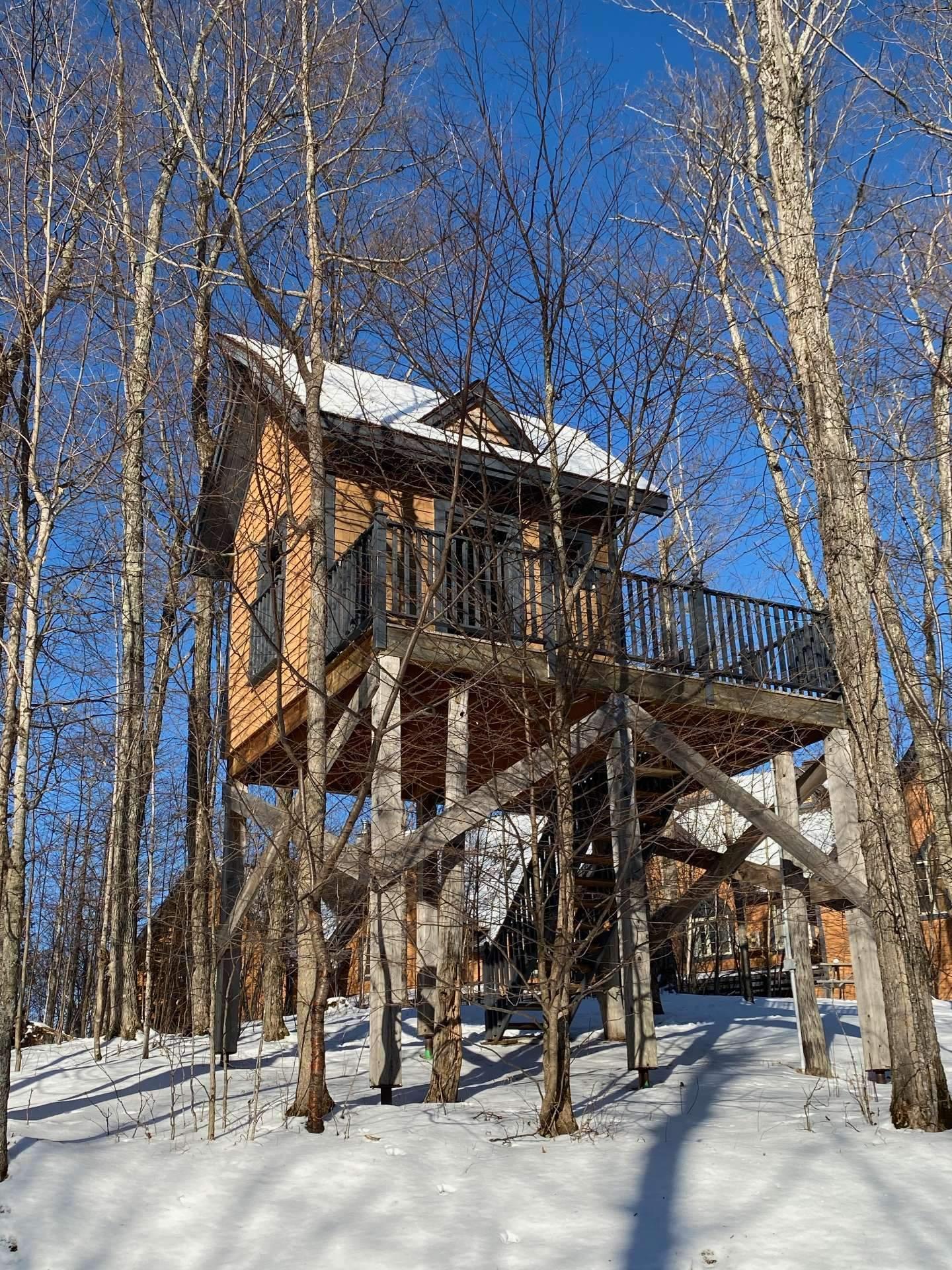 









102


Ch. des Quatre-Sommets

, 10,
Mont-Tremblant,




QC
J8E1C6

