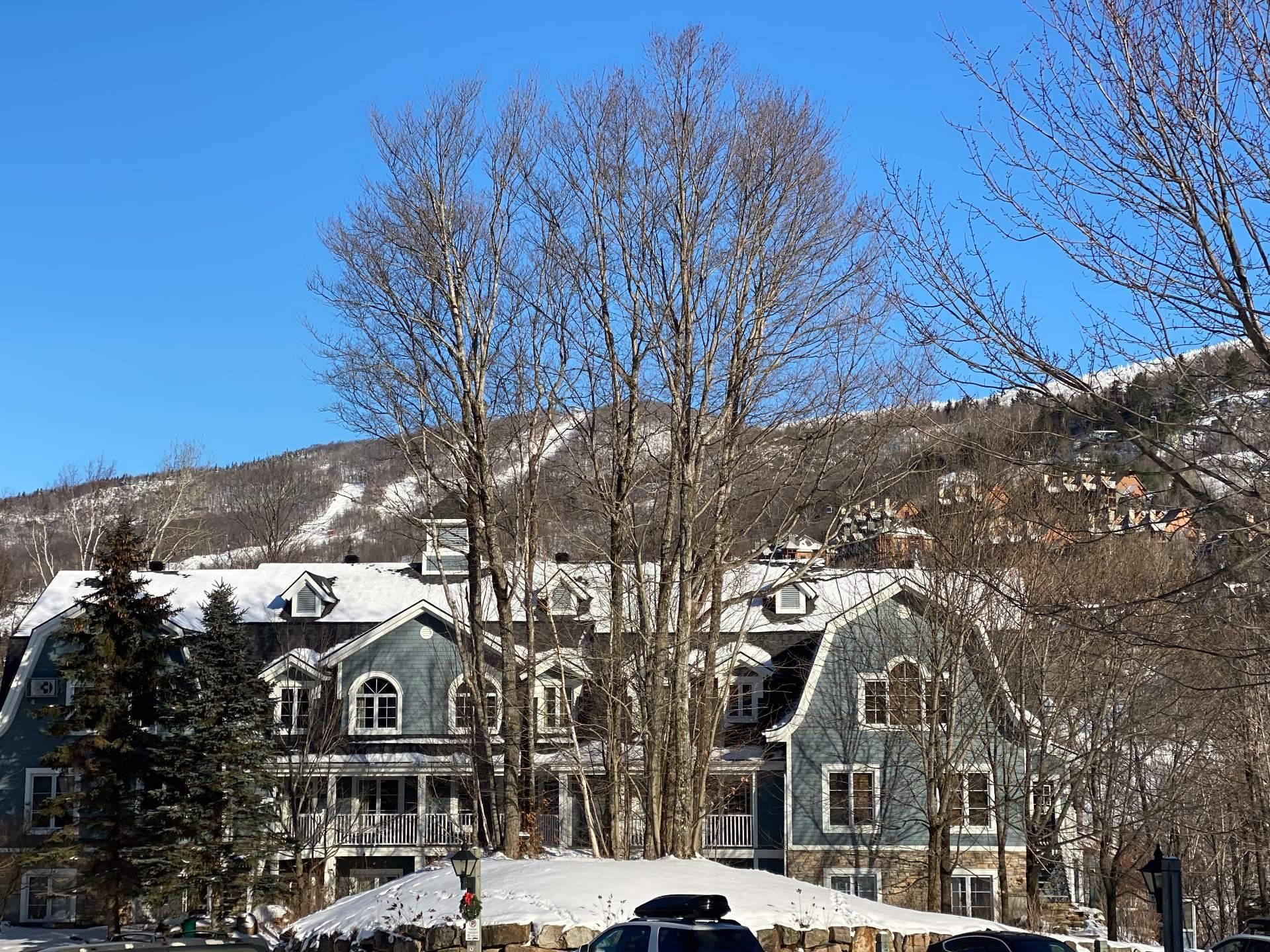 









102


Ch. des Quatre-Sommets

, 10,
Mont-Tremblant,




QC
J8E1C6

