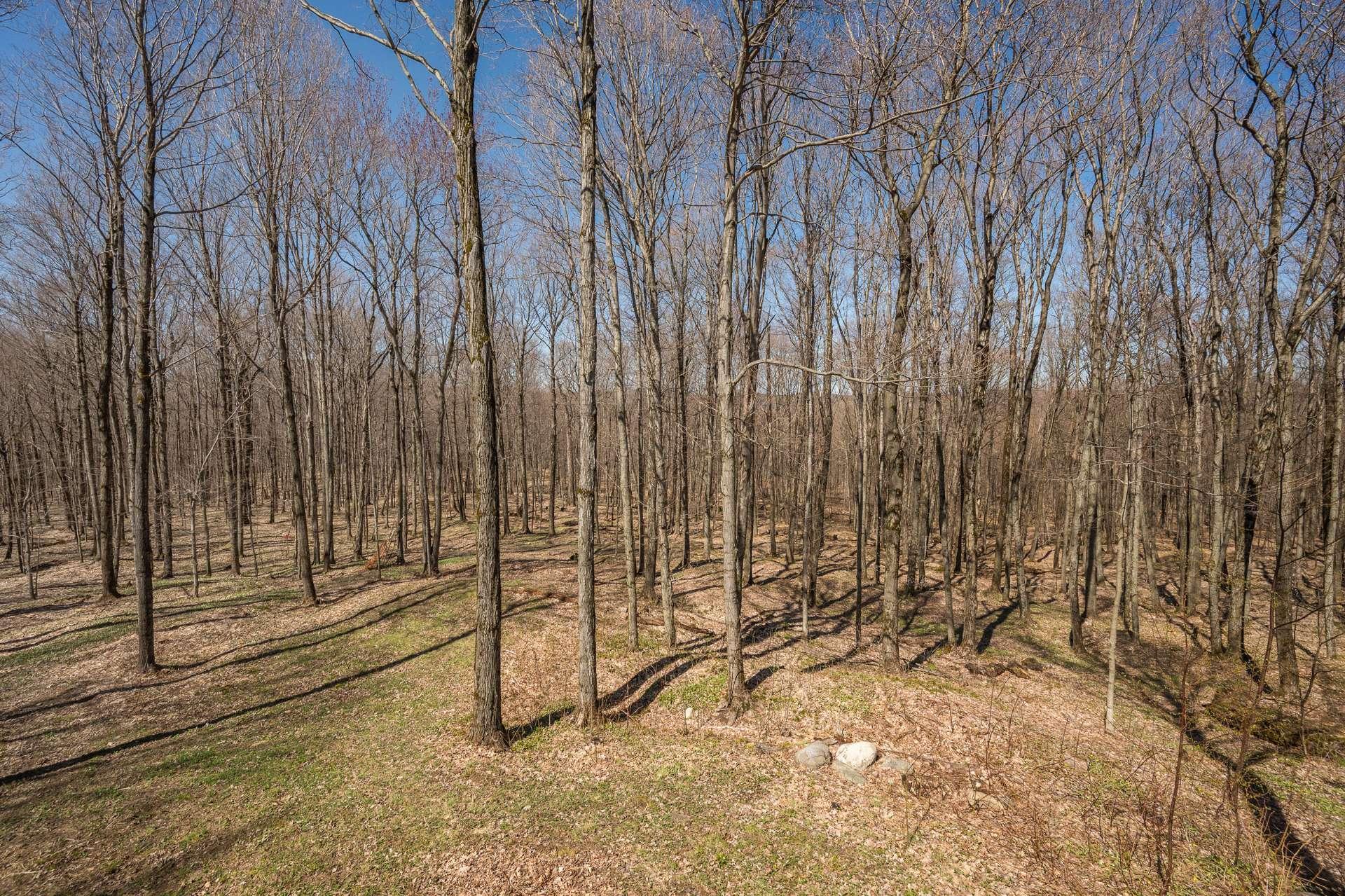 









251


Ch. du Pinacle

,
Frelighsburg,




QC
J0J1C0

