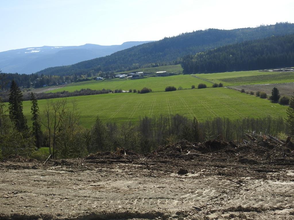 









878


Deep Creek

Road,
Enderby,







BC
V0E 1V3

