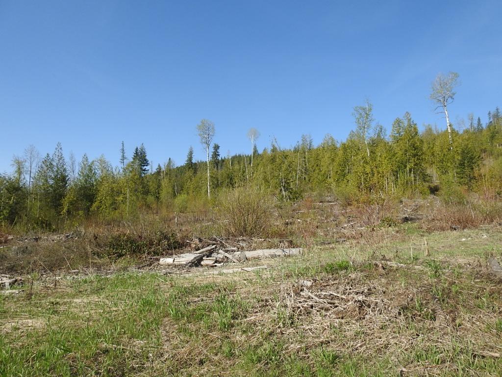 









878


Deep Creek

Road,
Enderby,







BC
V0E 1V3

