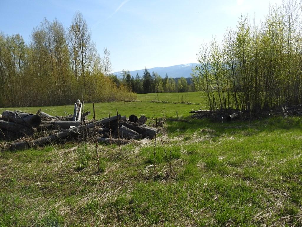 









878


Deep Creek

Road,
Enderby,







BC
V0E 1V3

