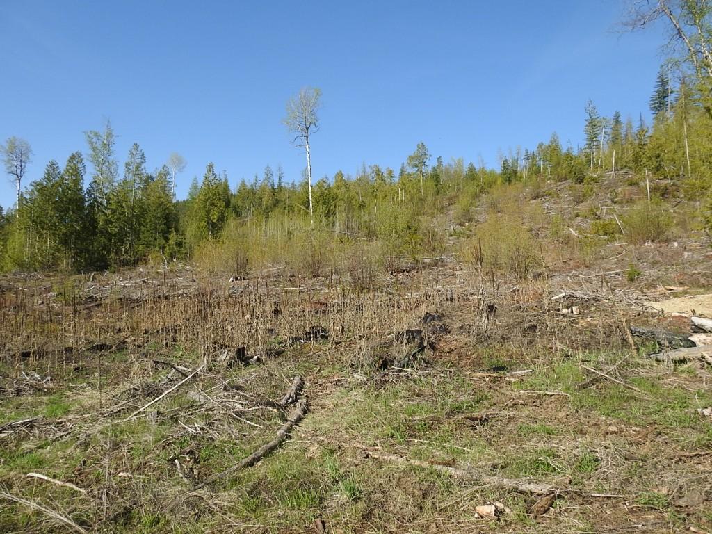 









878


Deep Creek

Road,
Enderby,







BC
V0E 1V3

