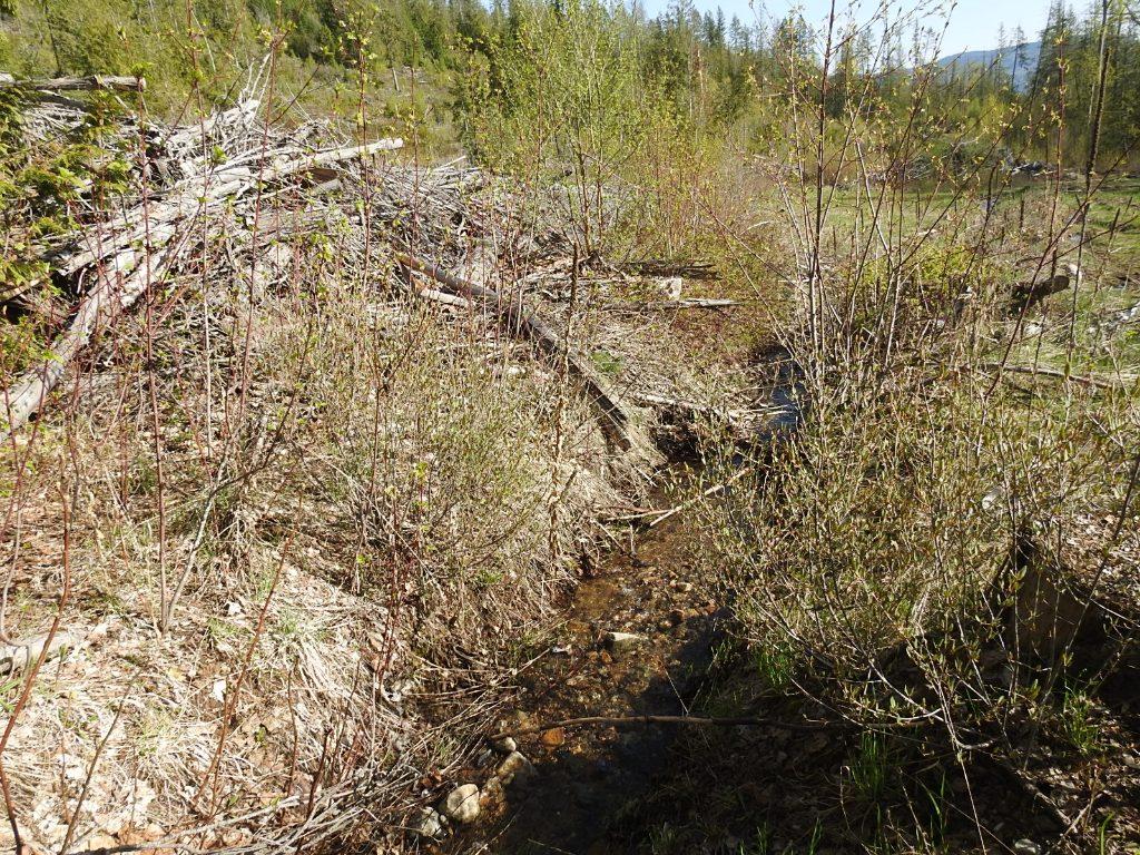 









878


Deep Creek

Road,
Enderby,







BC
V0E 1V3

