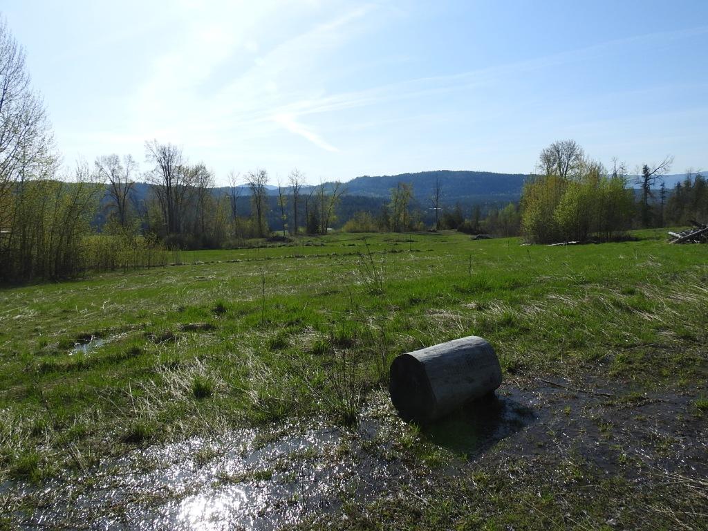 









878


Deep Creek

Road,
Enderby,







BC
V0E 1V3


