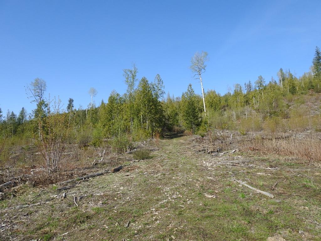 









878


Deep Creek

Road,
Enderby,







BC
V0E 1V3


