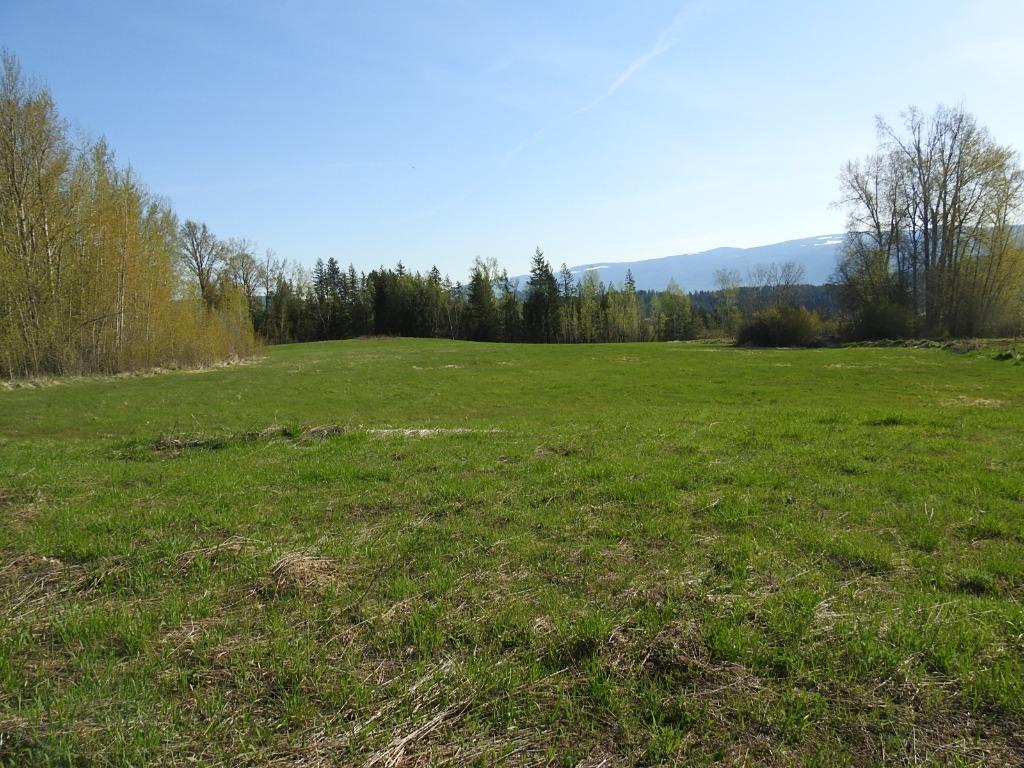 









878


Deep Creek

Road,
Enderby,







BC
V0E 1V3

