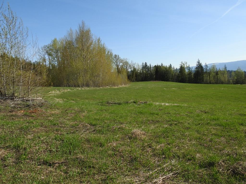 









878


Deep Creek

Road,
Enderby,







BC
V0E 1V3

